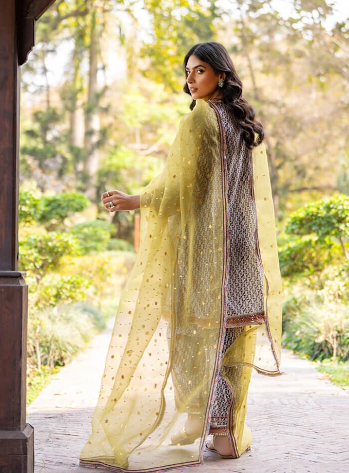 Handworked Chatta Patti Dress